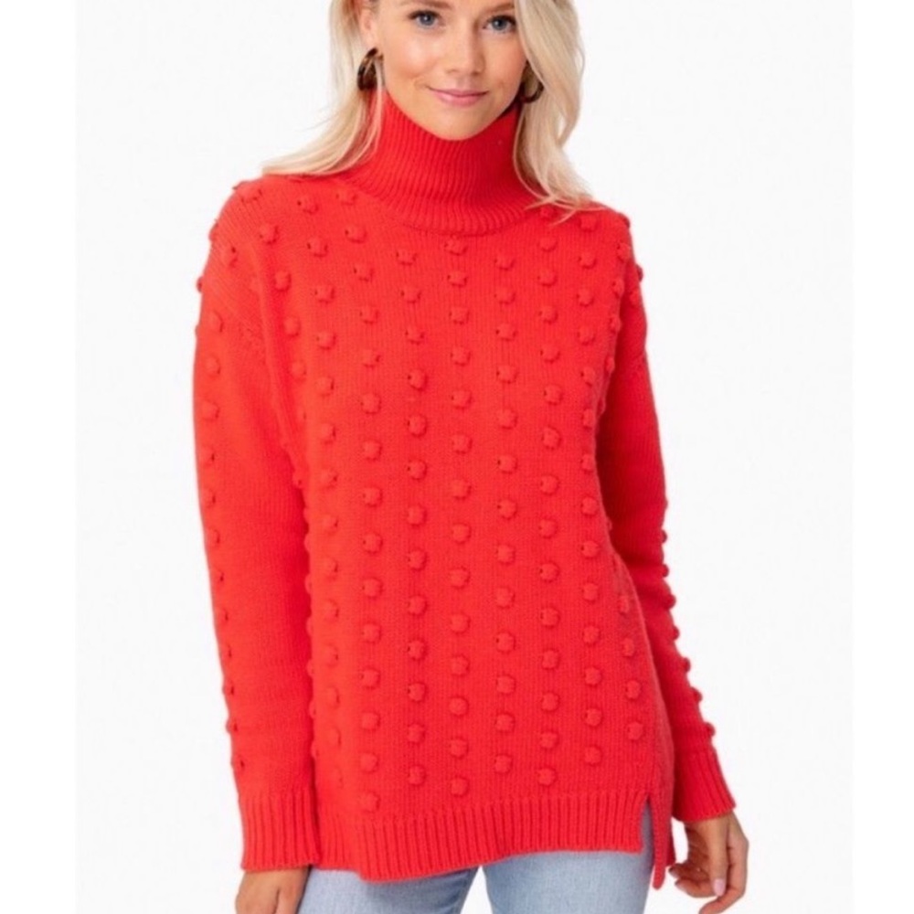 Like new, worn once Tuckernuck turtleneck sweater.